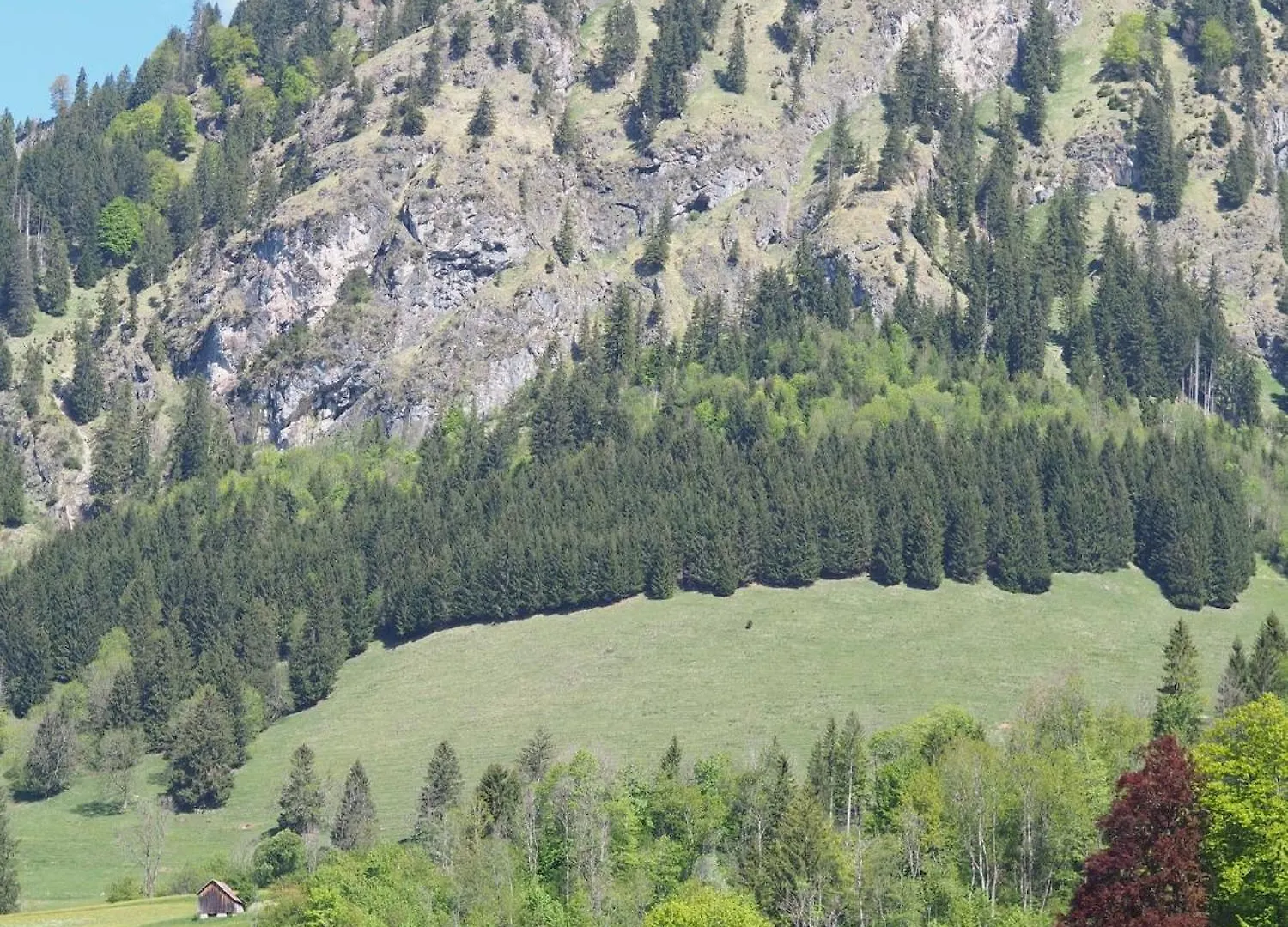 Appartement Naturnest Durchatmen - Skipass Im Winter Und Bergbahnen Im Sommer Inklusive Bad Hindelang Duitsland